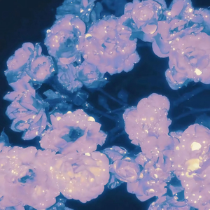 非洲黑人配种视频
