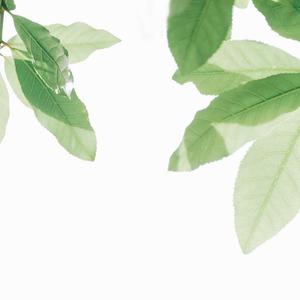 非洲黑人配种视频
