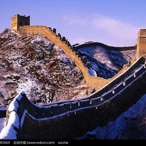 非洲黑人配种视频
